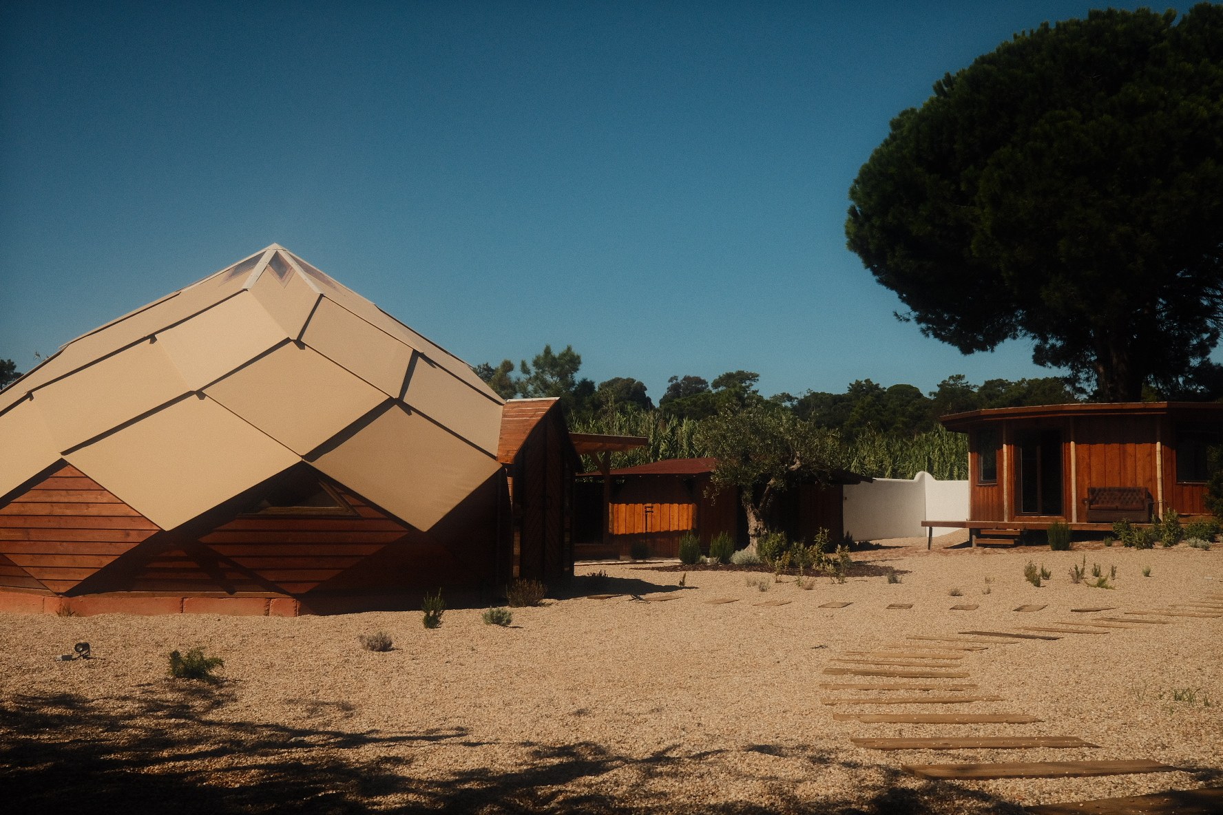 Livity Temple Zomes — around the Zome photo 2