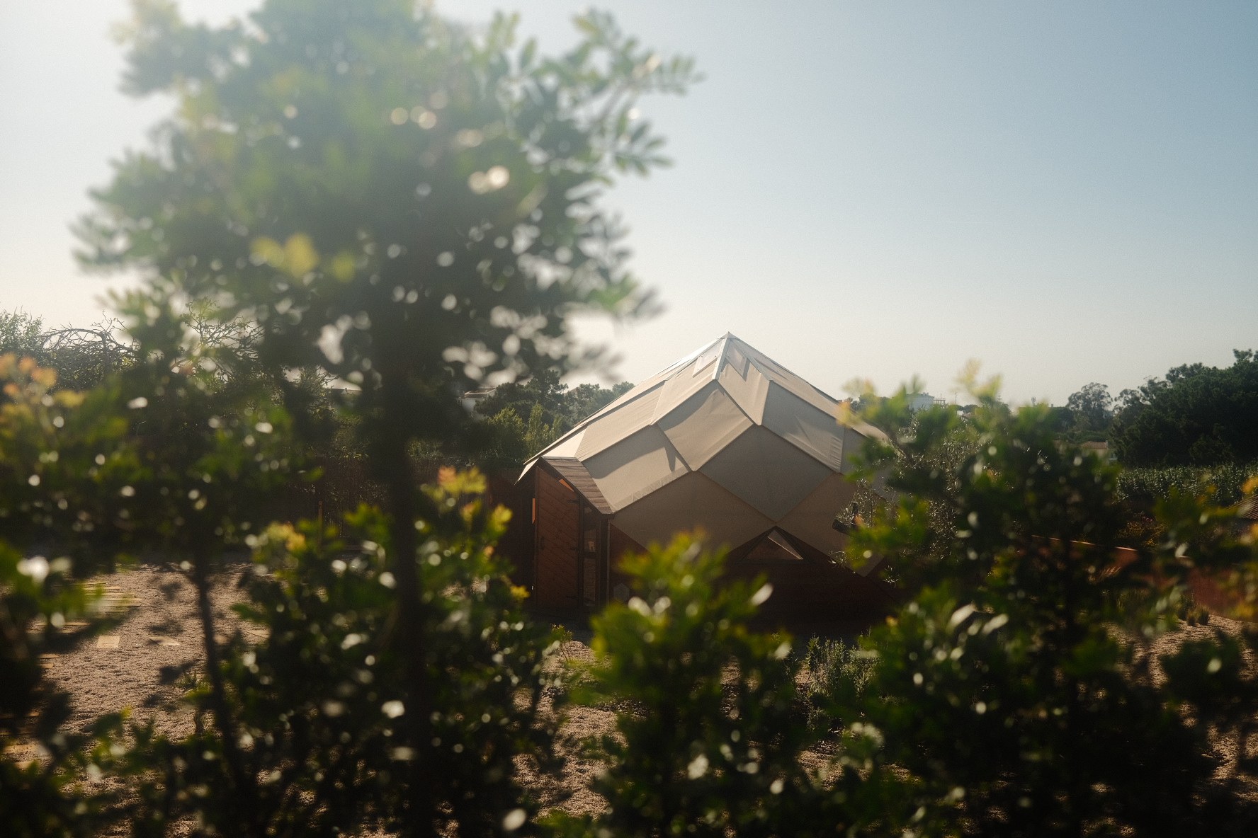 Livity Temple Zomes — around the Zome photo 4