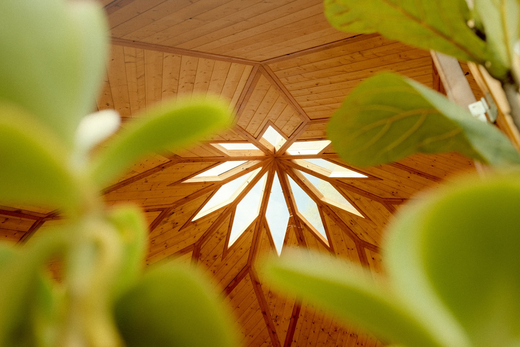 Handcrafted wooden Livity Temple Zome